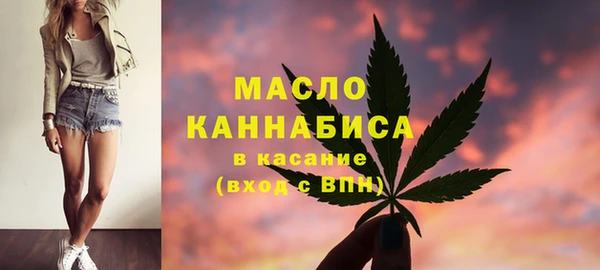 МДПВ Вяземский