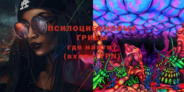 МДПВ Вяземский