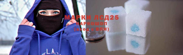 МДПВ Вяземский