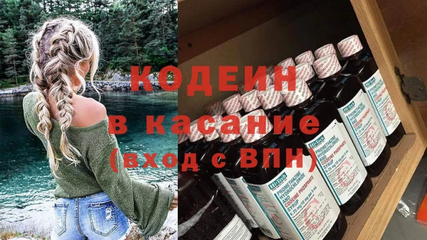 МДПВ Вяземский