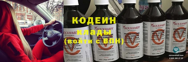 МДПВ Вяземский
