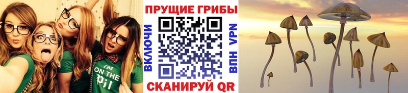 hydra ссылка  Березники  Галлюциногенные грибы GOLDEN TEACHER  сколько стоит 